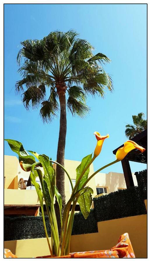 Apartmán Lur De La Playa Corralejo Exteriér fotografie